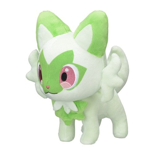 Pokémon fit ポケモンフィット | toyplanet online shop